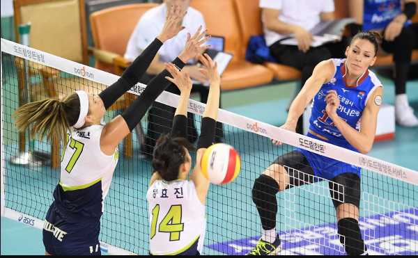 edb767e6a83e5fa4e35695c05a7470f4_1510630327_0217.PNG 바이에른한강 V리그 여자부분석 완료 ^^
