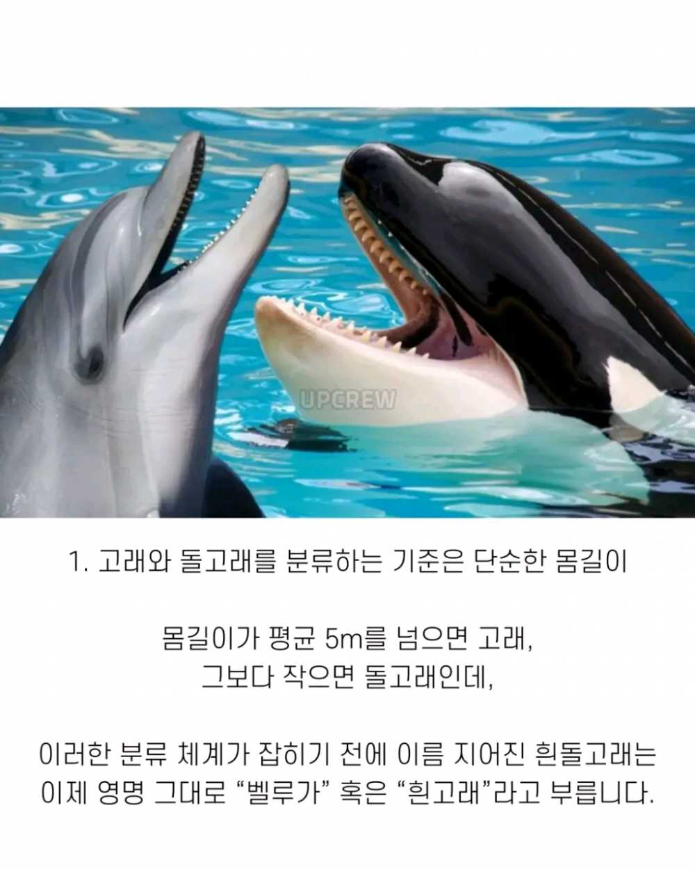 15697047ea9f986f3ec0e09fffe163cf.png