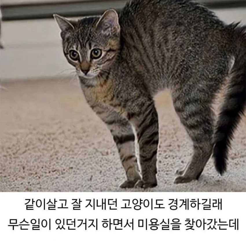 26f8fae8c7cc7a3fb75d17957b494504.jpg