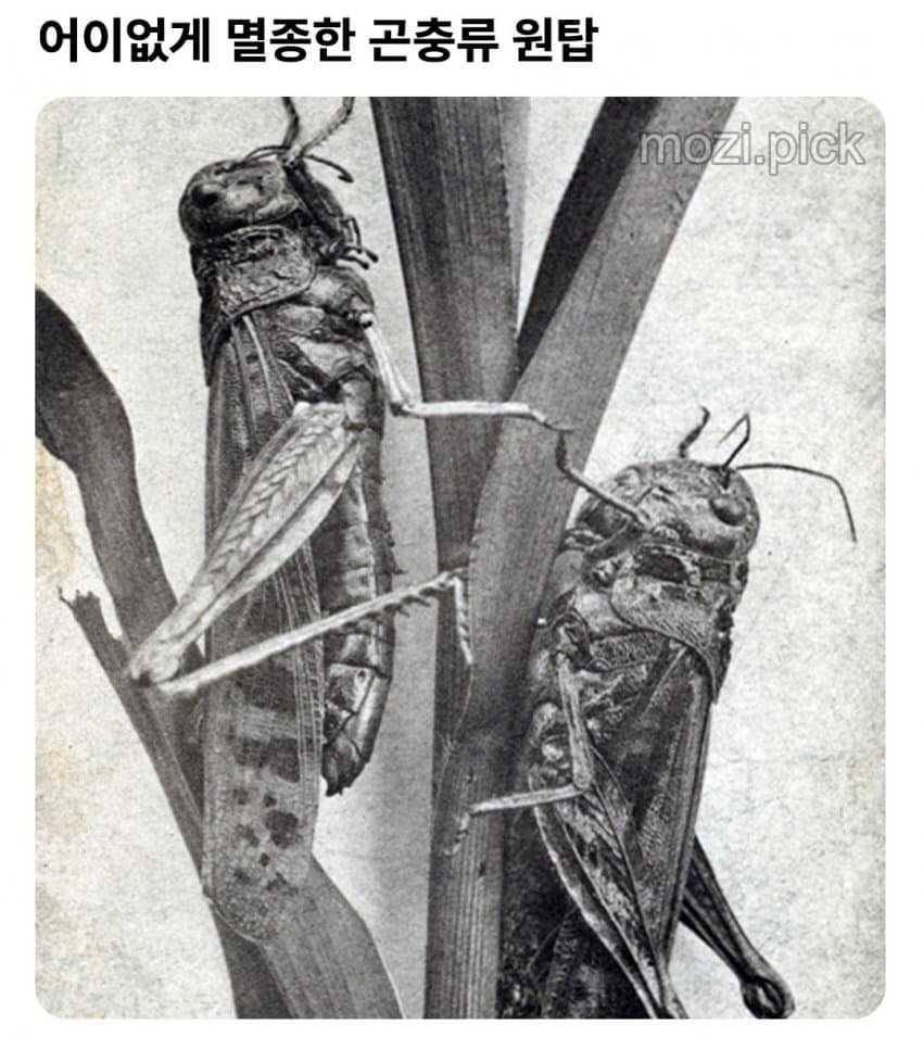 8f8f4c8c628c4086495b99f45efdfef4.jpg