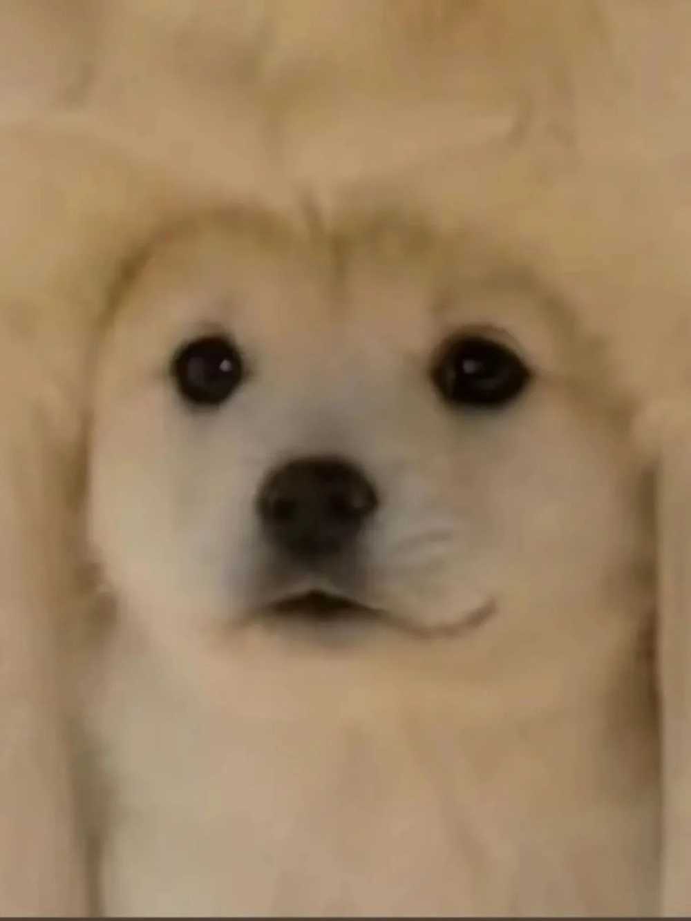 9099200021eeee28964656a0e0fcd2de.jpg