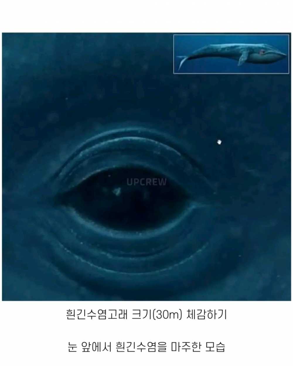 913bd8ed5195207d68bfdebd18a03c49.png