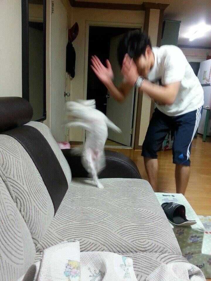 a85df01b7f256a1d29bf324762465e36.jpeg