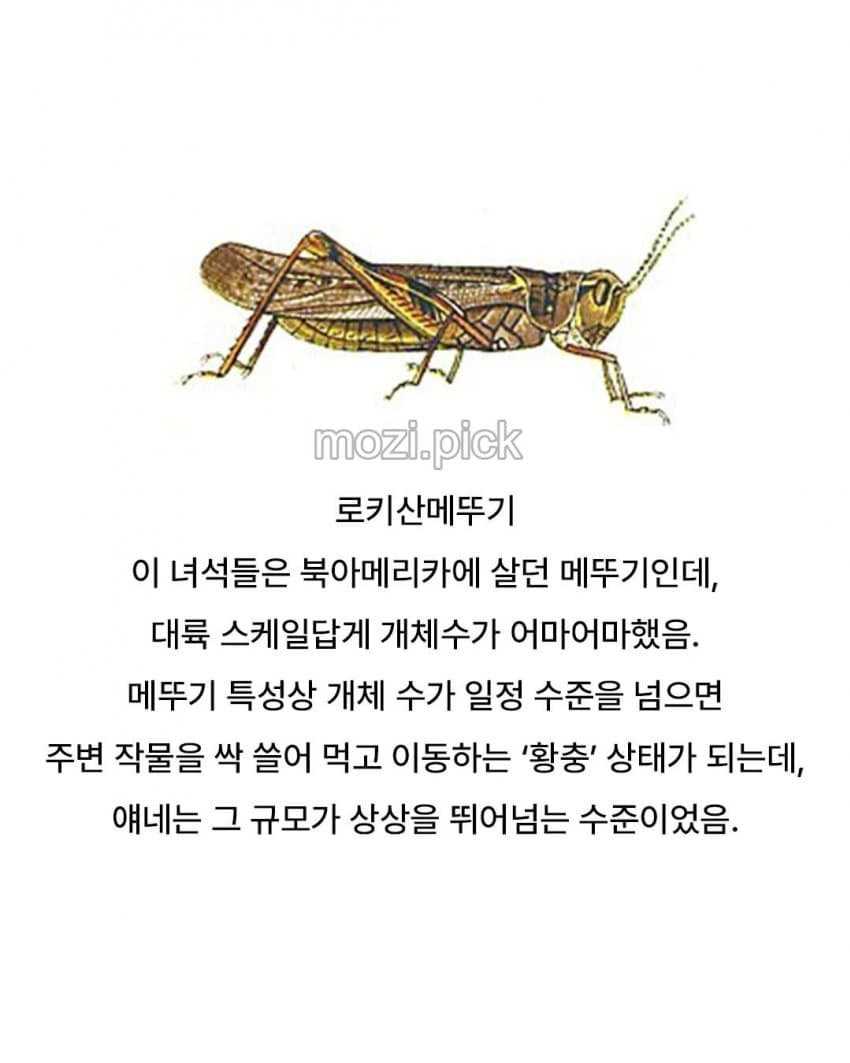 cc51ee7483e65e409dc42adaffeac52f.jpg