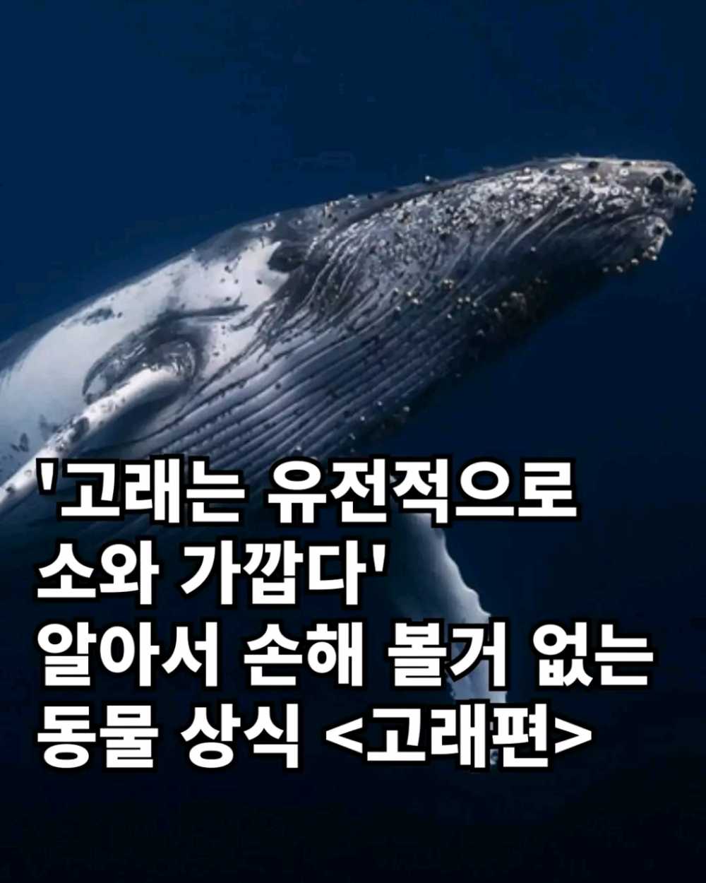 eb54d7905a66855d876e87f7421add61.png