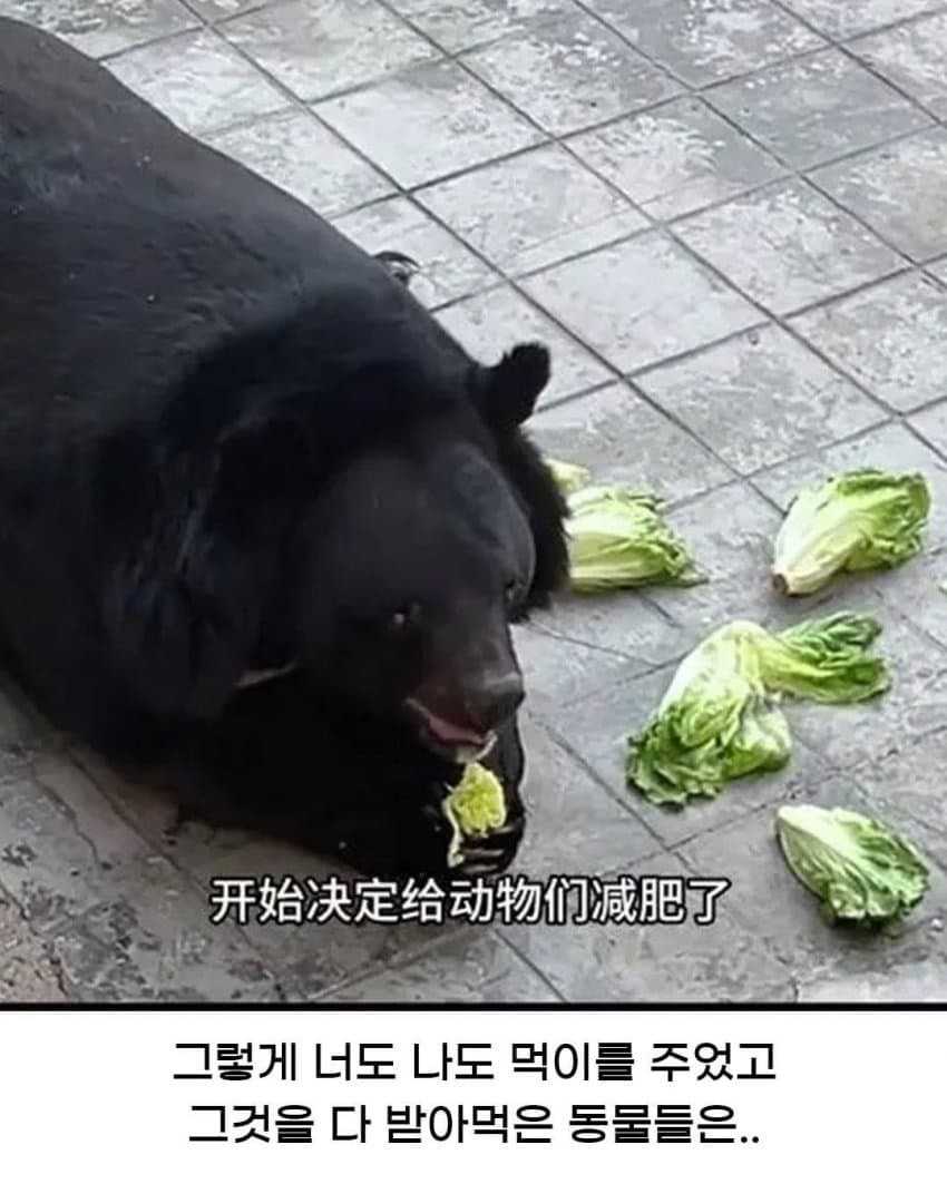 674c8c3c44856903bd5dd7b02c9ba2e8.jpg