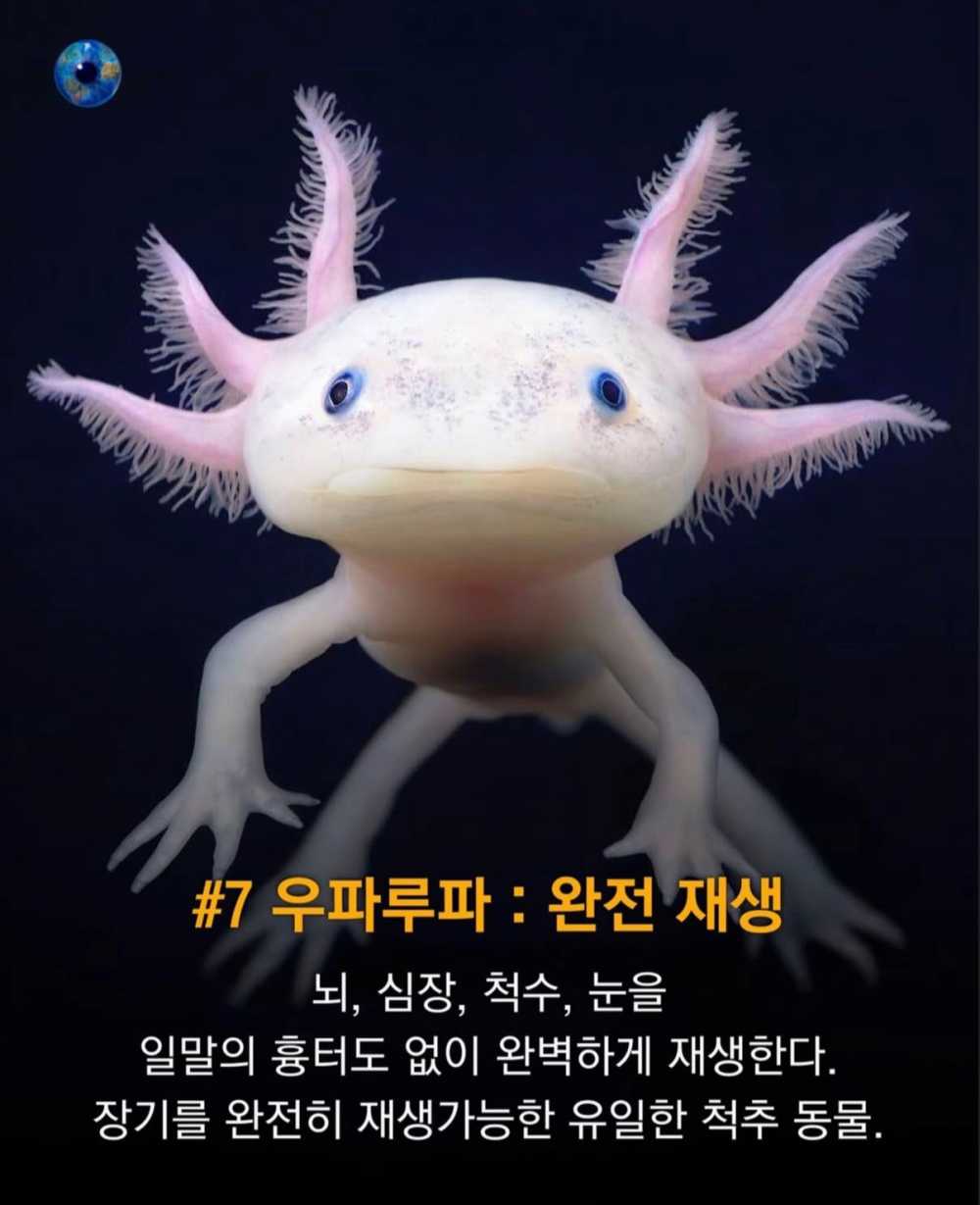 a2ca3e59f4e69b89cec1c85e84ce2b51.jpg