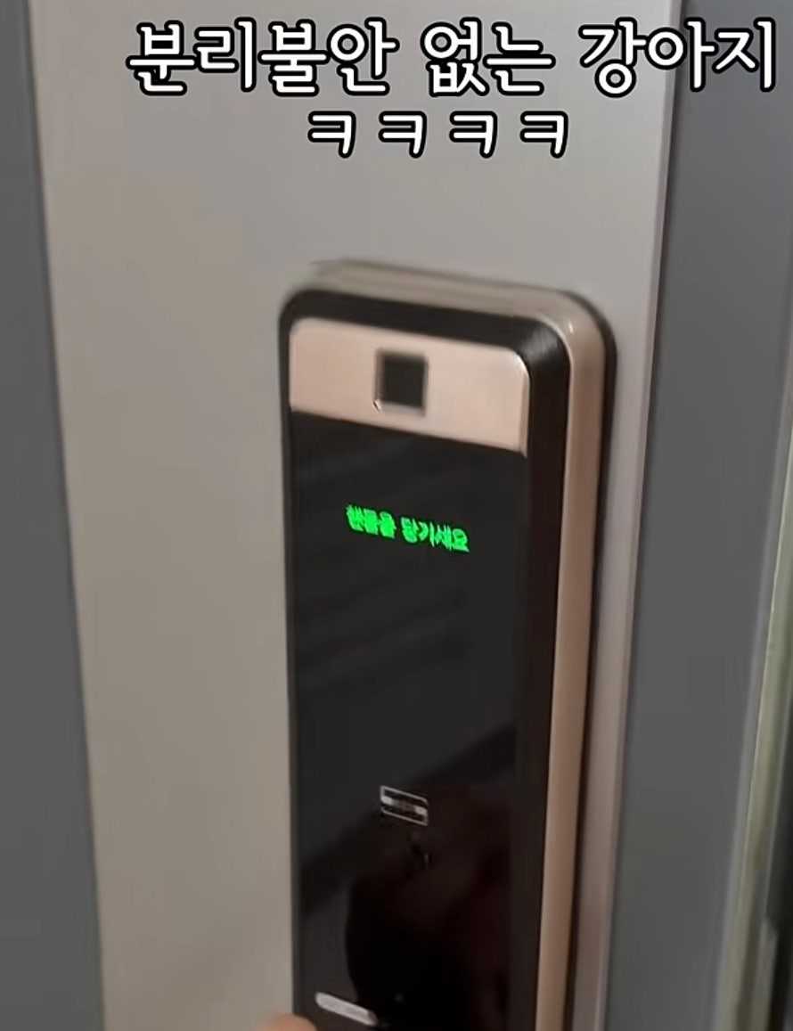 db4869d74e03aaec84c63ae6de7877f2.jpeg